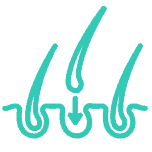 Bosley-Icons_state-of-the-art 1